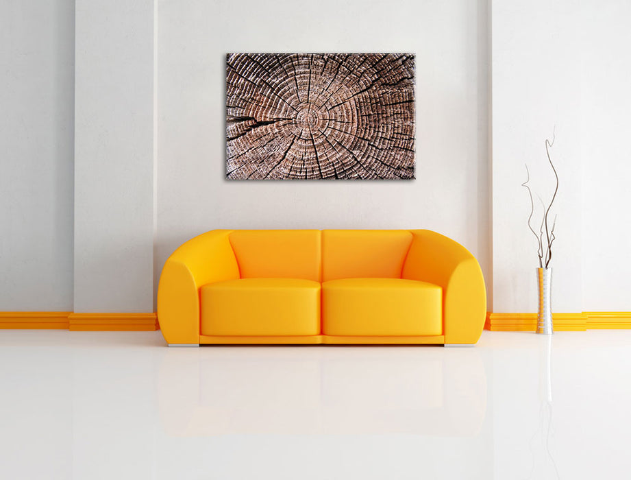 Baumstamm Jahresringe Leinwandbild über Sofa