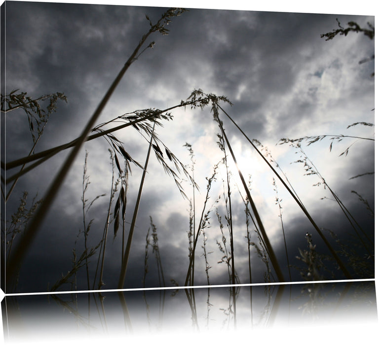 Pixxprint Düsteres Gras vorm Regen, Leinwandbild
