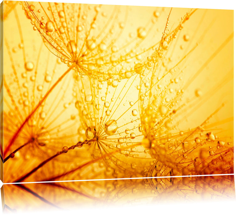 Pixxprint Pusteblumen Tau, Leinwandbild