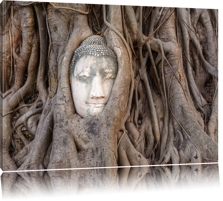 Pixxprint Buddha Kopf im Baum, Leinwandbild