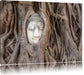 Buddha Kopf im Baum Leinwandbild
