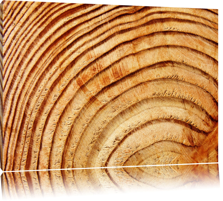 Pixxprint Baumstamm Holzringe, Leinwandbild