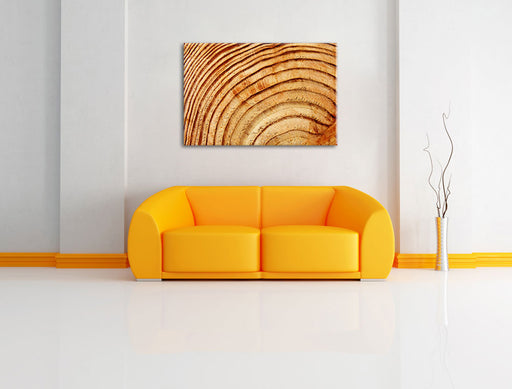 Baumstamm Holzringe Leinwandbild über Sofa