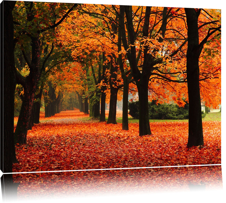 Pixxprint Baumallee im Herbst, Leinwandbild