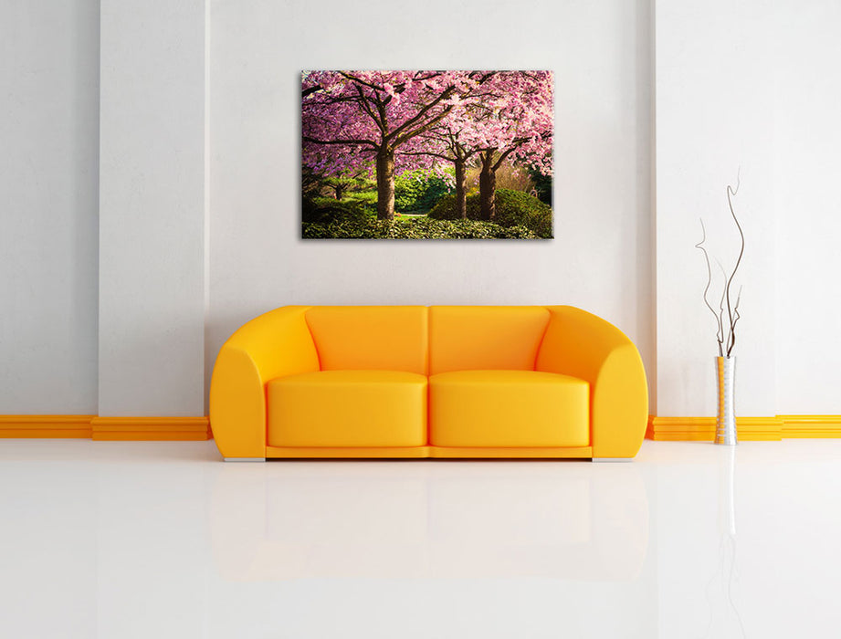 Rosa blühende Kirschbäume Leinwandbild über Sofa