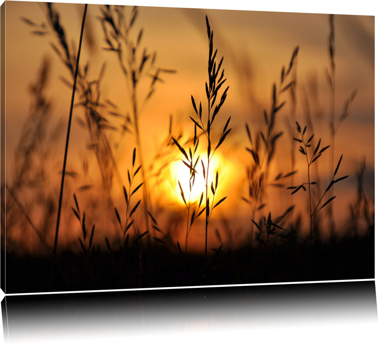 Pixxprint Gras bei Sonnenuntergang, Leinwandbild