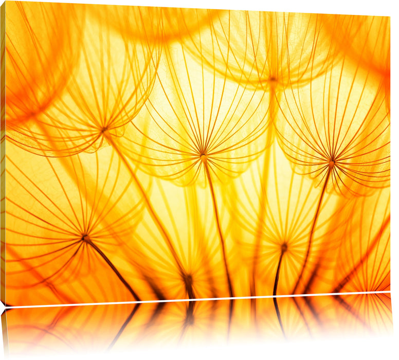 Pixxprint Pusteblumen oranges Licht, Leinwandbild