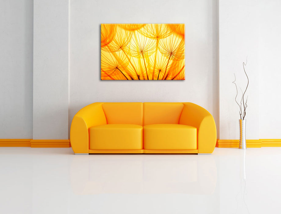 Pusteblumen oranges Licht Leinwandbild über Sofa