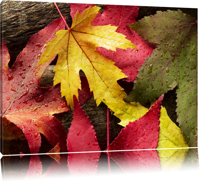 Pixxprint Bunte Herbstbläter, Leinwandbild