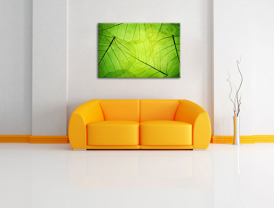 Wunderschöne Zarte grüne Bläter Leinwandbild über Sofa