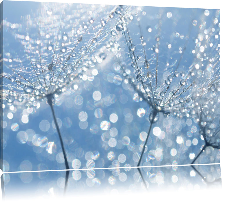 Pixxprint Tau auf Schirmfliegern, Leinwandbild