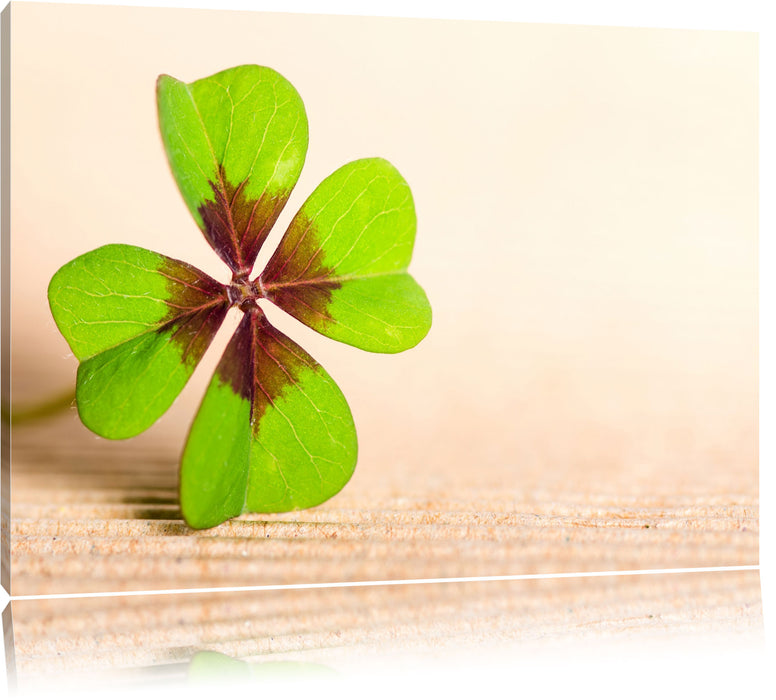 Pixxprint Glücks Kleeblatt mit 4 Blätern, Leinwandbild