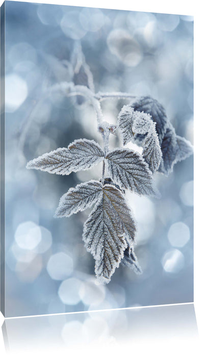 Pixxprint Bläter im Winter Morgenfrost, Leinwandbild