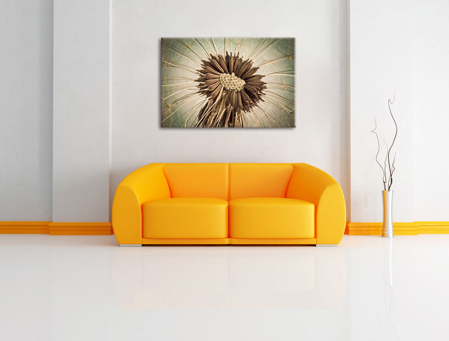 Vertrocknete Pusteblume Leinwandbild über Sofa