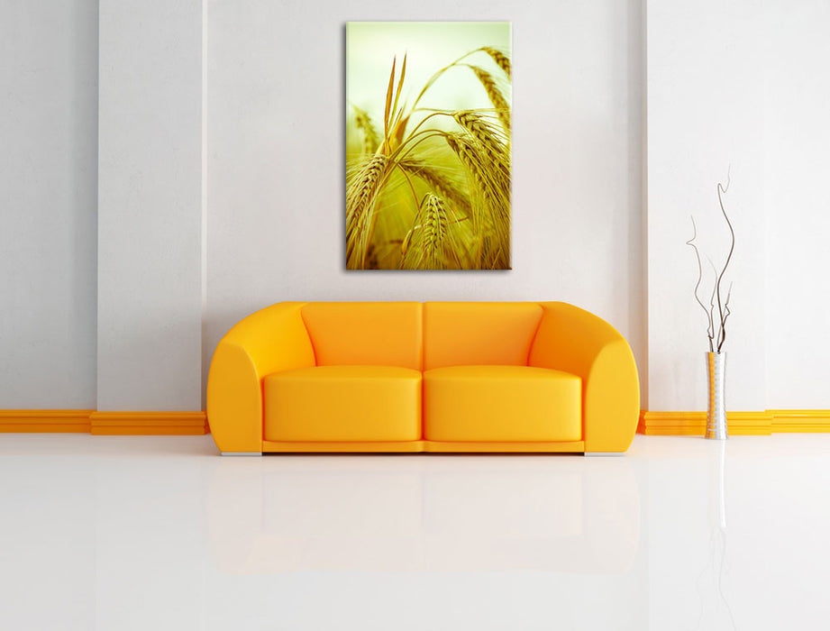 Wunderschönes Getreide Leinwandbild über Sofa