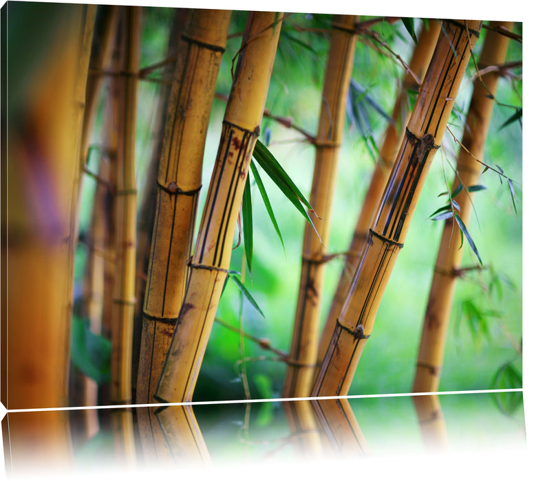 Pixxprint Alter Bambus Wald, Leinwandbild
