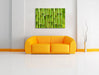 Grüner frischer Bambus Leinwandbild über Sofa