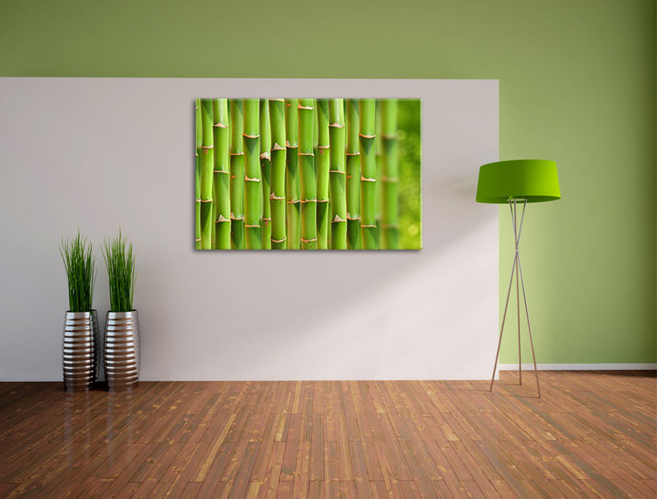 Grüner frischer Bambus Leinwandbild im Flur