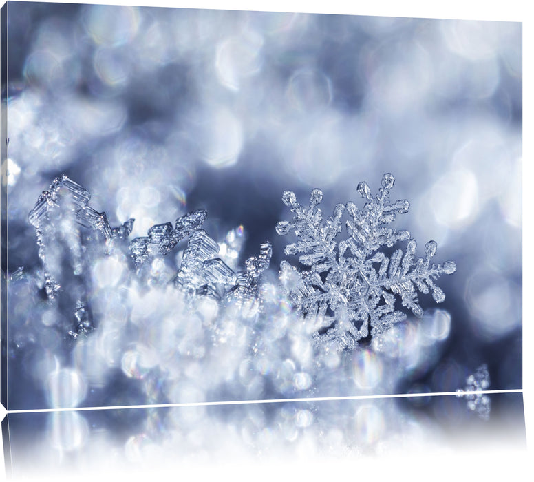 Pixxprint Wunderschöner Eiskristall, Leinwandbild