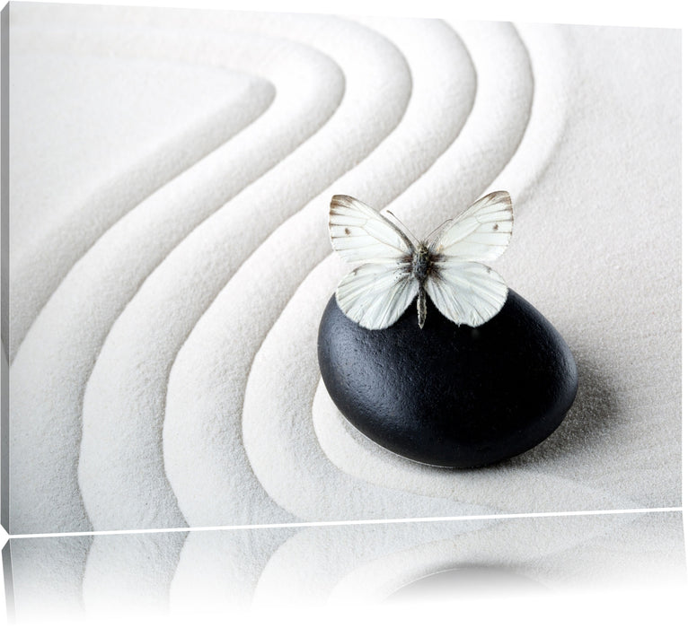 Schmetterling auf Zen Stein Leinwandbild
