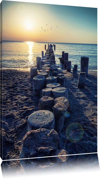 Pixxprint Baumstümpfe am Meer, Leinwandbild