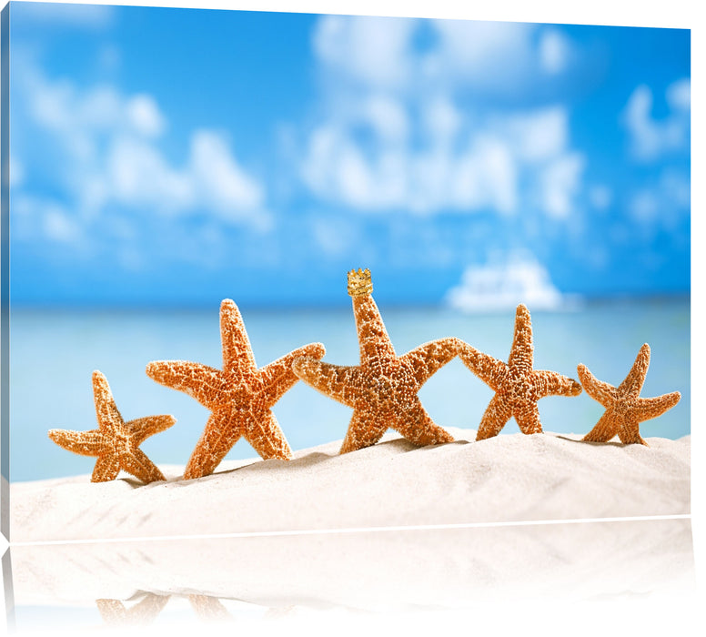 Pixxprint König der Seesterne Lustig, Leinwandbild