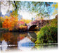 Brücke im Central Park Leinwandbild