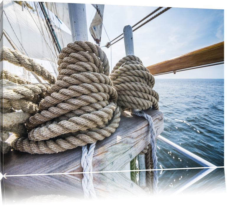 Pixxprint Tau auf einem Schiff, Leinwandbild