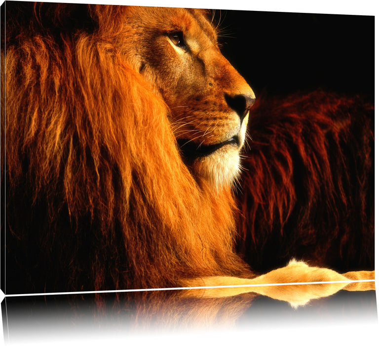Pixxprint Majestäischer stolzer Löwe, Leinwandbild