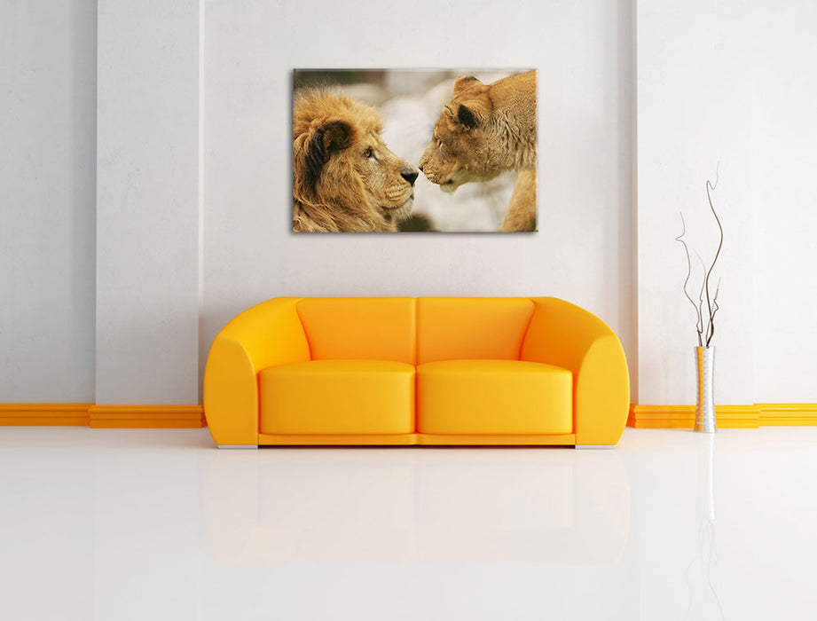 Verliebtes Löwenpaar Leinwandbild über Sofa