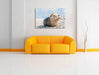 Süße Robbe auf Steinstrand Leinwandbild über Sofa