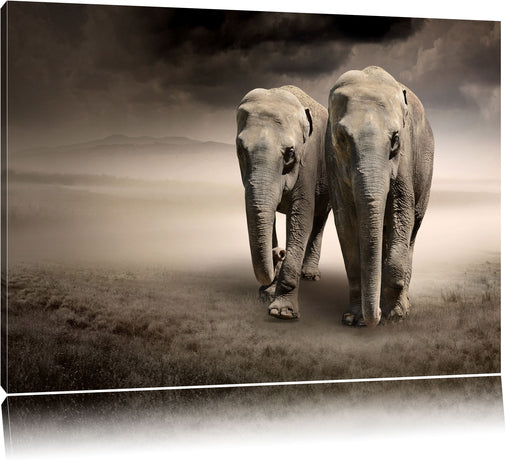 Zwei Elefanten in Steppe Leinwandbild