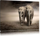 Zwei Elefanten in Steppe Leinwandbild