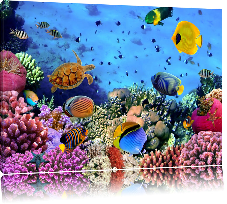 Fische über Korallenriff Leinwandbild