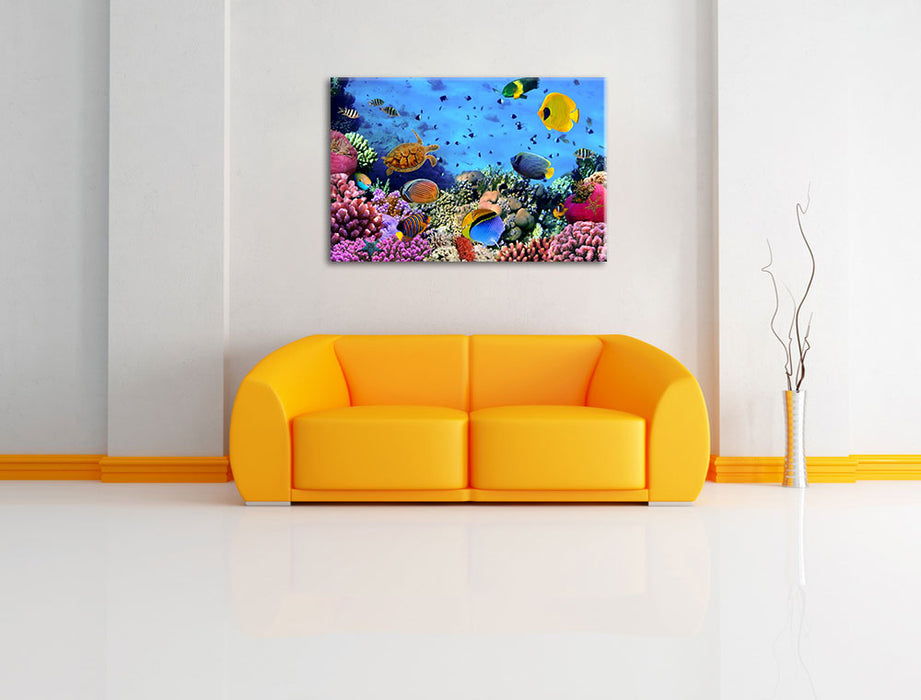 Fische über Korallenriff Leinwandbild über Sofa