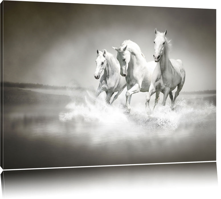 Pixxprint Pferde rennen im Wasser, Leinwandbild