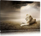 Stolzer weißer Löwenkönig Leinwandbild