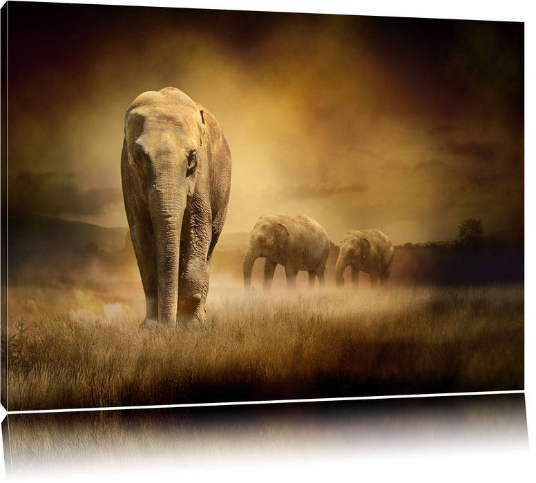 Pixxprint Prächtiger Elefanten in Steppe, Leinwandbild