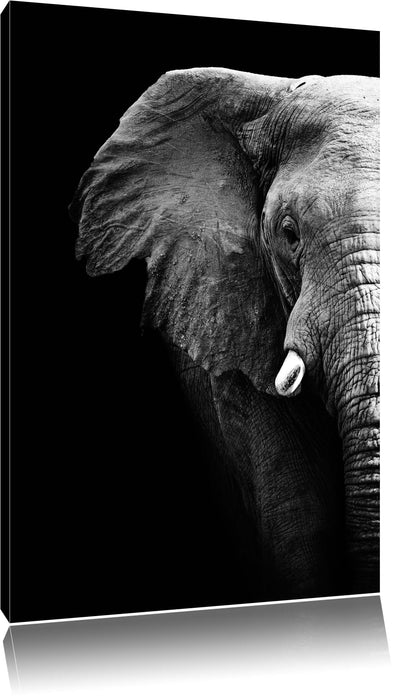 Pixxprint Elefant Porträ B&W, Leinwandbild