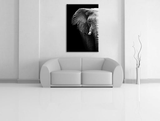 Elefant Porträ B&W Leinwandbild über Sofa