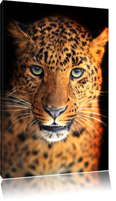 Pixxprint Stolzer Leopard, Leinwandbild