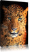 Stolzer Leopard Leinwandbild