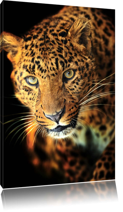 Pixxprint Anmutiger Leopard, Leinwandbild