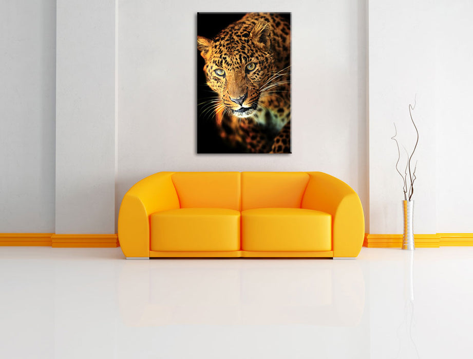 Anmutiger Leopard Leinwandbild über Sofa