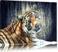 Neugieriger Tiger Leinwandbild