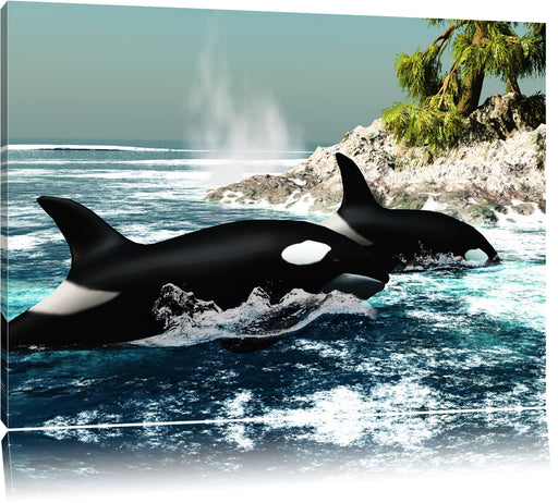 Orcas vor Insel Leinwandbild