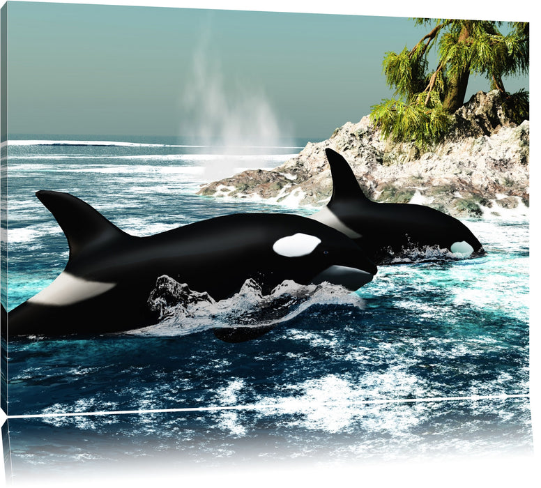 Pixxprint Orcas vor Insel, Leinwandbild