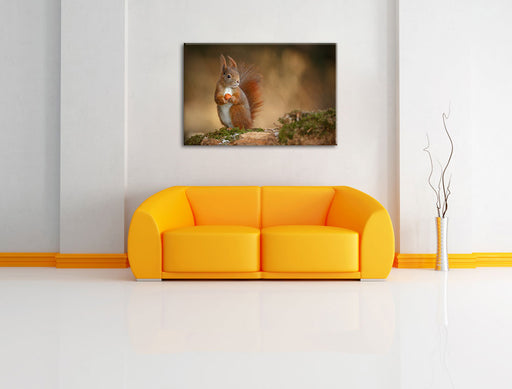Freches Eichhörnchen mit Nuss Leinwandbild über Sofa