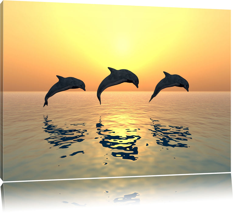 Delfine im Sonnenuntergang Leinwandbild