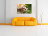 Kuschelnde Füchse Leinwandbild über Sofa